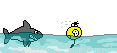 :sharkattack: